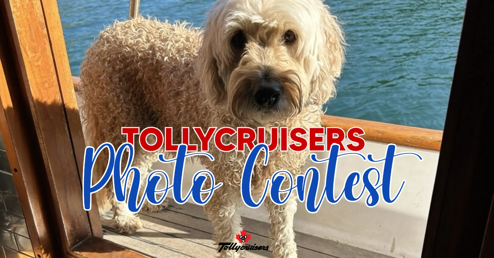 2nd Annual Canadian Tollycruisers Photo Contest