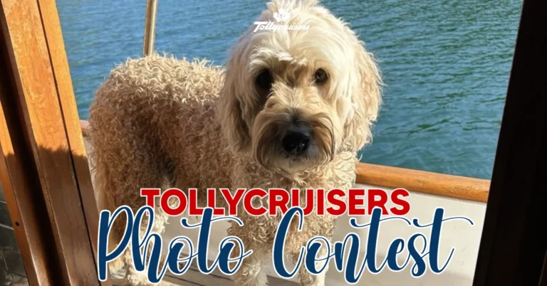 Canadian Tollycruisers Photo Contest Winners