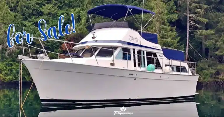 1982 Canadian Tollycraft 34 for Sale