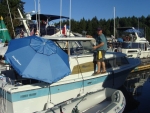DSC09732.jpg