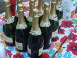 DSC09898.jpg