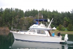 DSC_0529.JPG